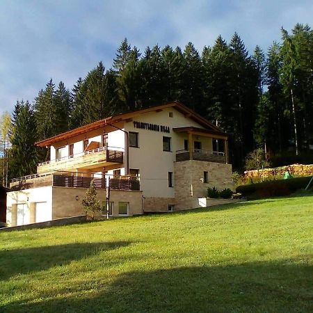 Transylvania Villa & Spa Gosau Eksteriør bilde